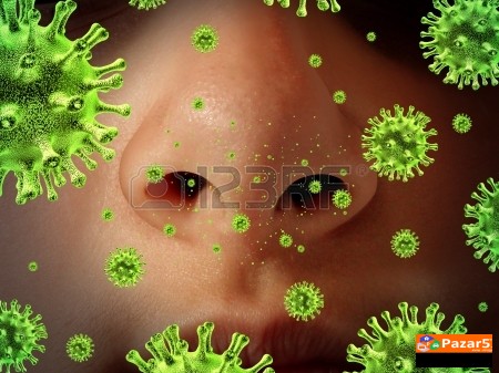  Б Р О Н Х О В И Т А Л - ЗА ДИШНИТЕ ПАТИШТА