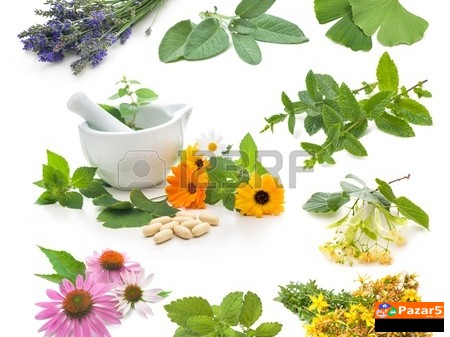 Lekoviti Kremi Masti I Melemi