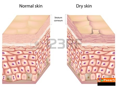 Lekoviti Kremi Masti I Melemi