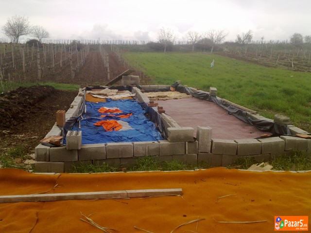 КАЛИФОРНИСКИ ЦРВИ