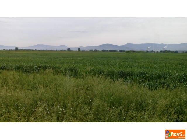 Se Prodava Pogolem Plac