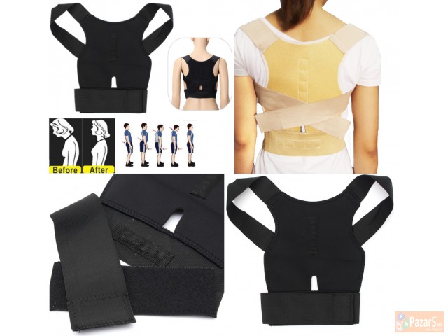 ортомагнет - магнетен појас за 'рбет