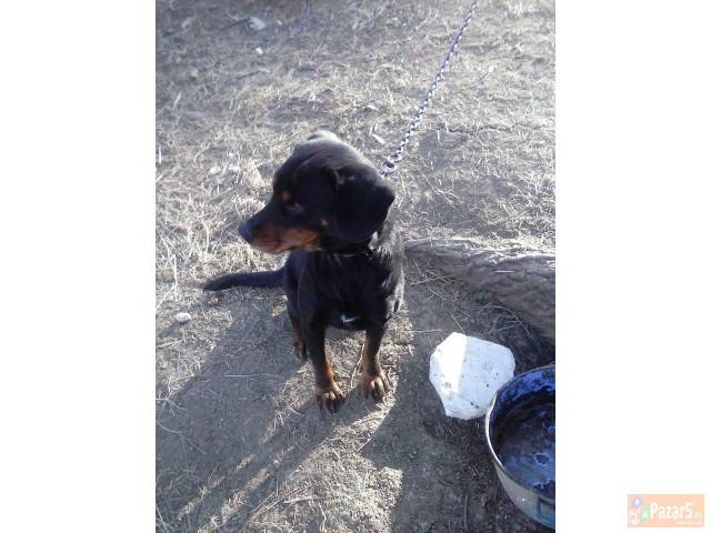 Se Prodava Barak I Alpinec 