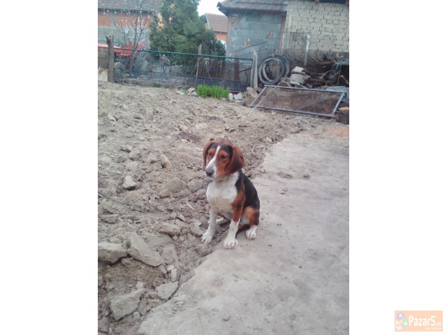 Trobojka