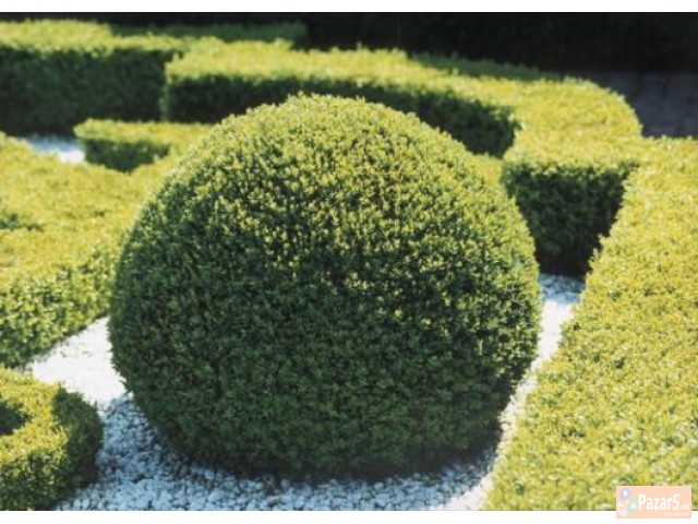 Уредување на дворови и зеленило