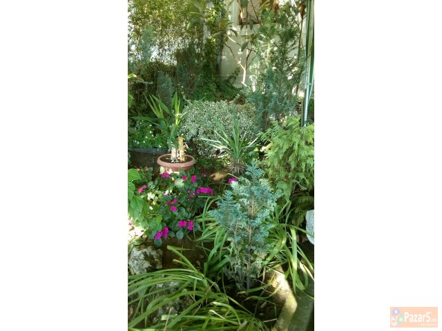 Деловен простор