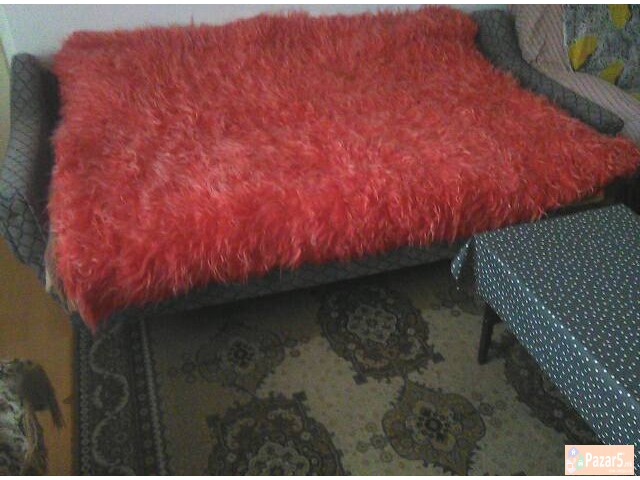 Se Izdava Soba Za Prenocuvaliste