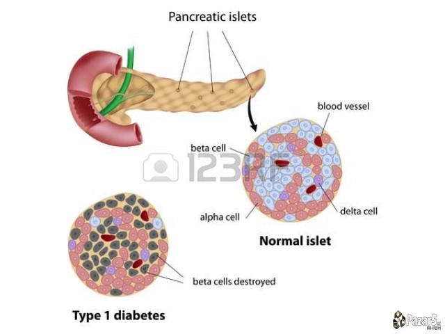 Api Dijabet БИЛНИ КАПКИ ЗА ДИЈАБЕТЕС и РЕГУЛИРАЊЕ 