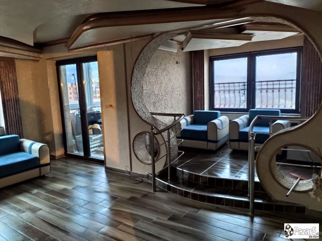 Moleraj (dekorativa)