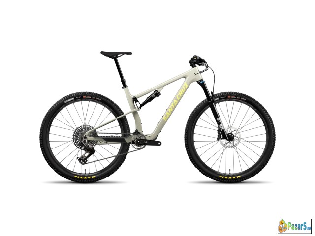 Santa Cruz Blur 90 Trail