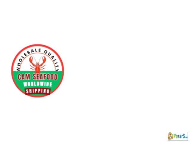 Wholesale Seafood Delivered Globally from the Shor