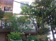 Куќа во шумата под Самоилови тврдини