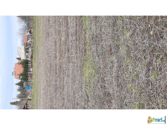 Се продава нива накај паланечки пат карши Брацо