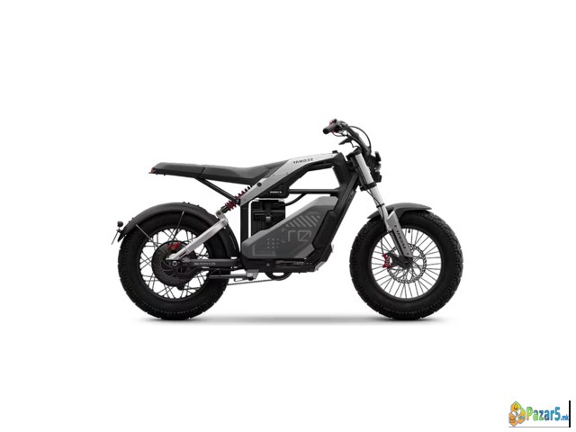 Segway Xyber Electric Bike (ALANBIKESHOP)