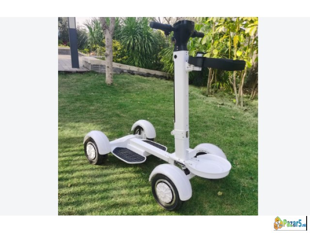 Ecorider G2 E7-1 4wheel Foldable Golf Electric Ska