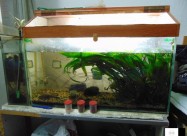 Akvarium