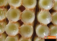 МАТИЧЕН МЛЕЧ,ПРОПОЛИС,ПЕРГА,МЕД,ЛЕКОВИТИ БИЛКИ,МЕЛ