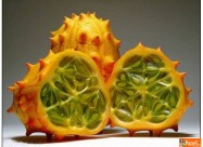 Kiwano I Karela (gorka Dinja) ..... саден материја