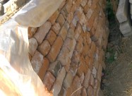 Peceni Tuli