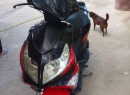 Se Prodava Vespa Boatian