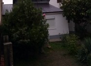 Се продава Градежно земјиште од 253 M2 во Дебар Ма