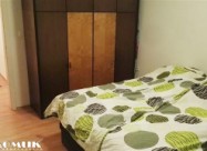Domik Izdava 3 Sob. Namesten Stan Vo Centar Vo Gtc