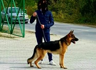 Kuce Germanski Vuqak