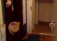 75m2 Stan Vo Novo Lisice