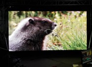 Led Display Iznajmuvame 