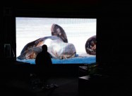 Led Display Iznajmuvame 