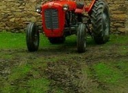 Prodavam Ferguson Imt 533 Hitnoo 