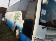 Avtobus