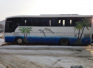 Avtobus