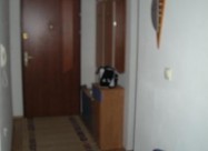 Se Izdavastancentar Skopje Novogradba 50 M2