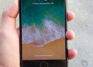 Iphone 7 Plus