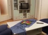 Издавам наместен стан во Н.Лисиче