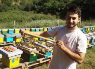 Pceli Matici Roevi Nukleusi - Pcelarstvo Dodevski