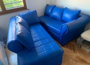 Petosed Ekokoza Vo Odlicna Sostojba