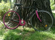 City Bike