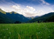 Prodavam Plac Za Vikendica