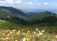 ПЛАЦ ЗА ВИКЕНДИЦА ВО ЃУЗЕМЕЛЦИ, ОПШТИНА ЛОЗОВО