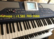 Синтисајзер за тастатура Korg Pa800