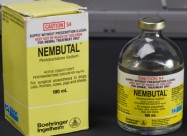   Buy Nembutal Online ( Pills Liquid & Powder )