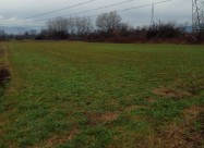 Niva Vo Jurumleri 3400 M2