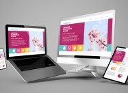 Izrabotka Na Web Strani