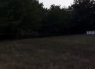 Prodacam Plac