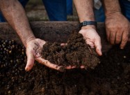 Biohumus/Биохумус природно ѓубриво од калифорниски