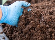 Biohumus/Биохумус природно ѓубриво од калифорниски
