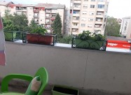 Izdavanje