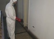 Kvalitetna Dezinsekcija Dezinfekcija Deratizacija 